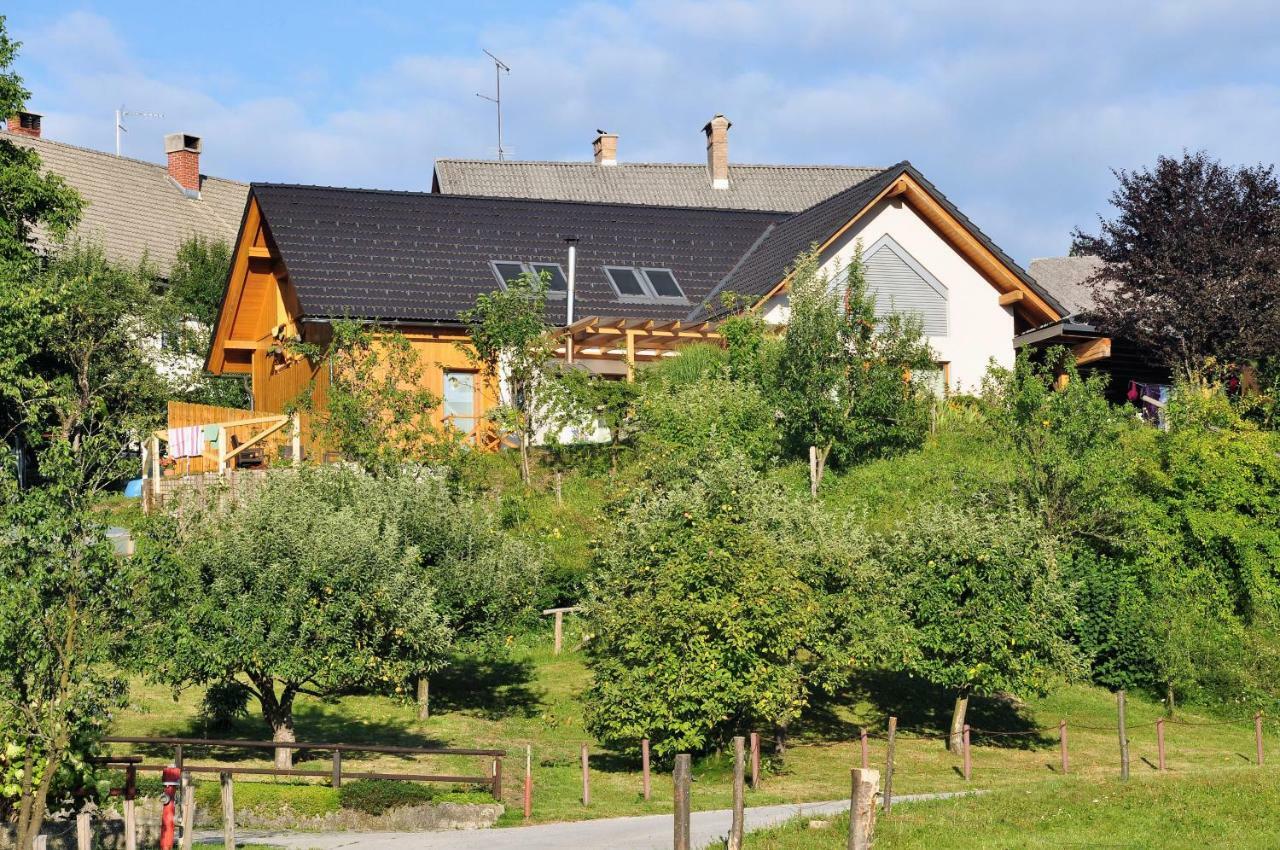 Apartma Rosa Séjour chez l'habitant *